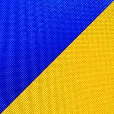 Синий / Желтый (Оксфорд 210D)